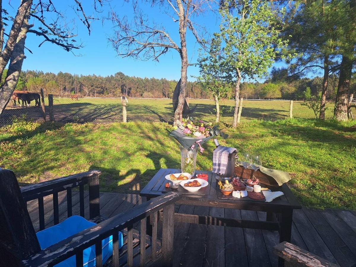 Domaine L'Oree Du Marais Le Barp Екстер'єр фото
